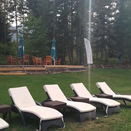 View In Golf Razlog