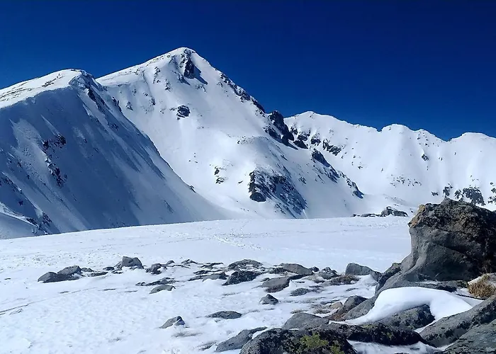 View In Golf * Разлог